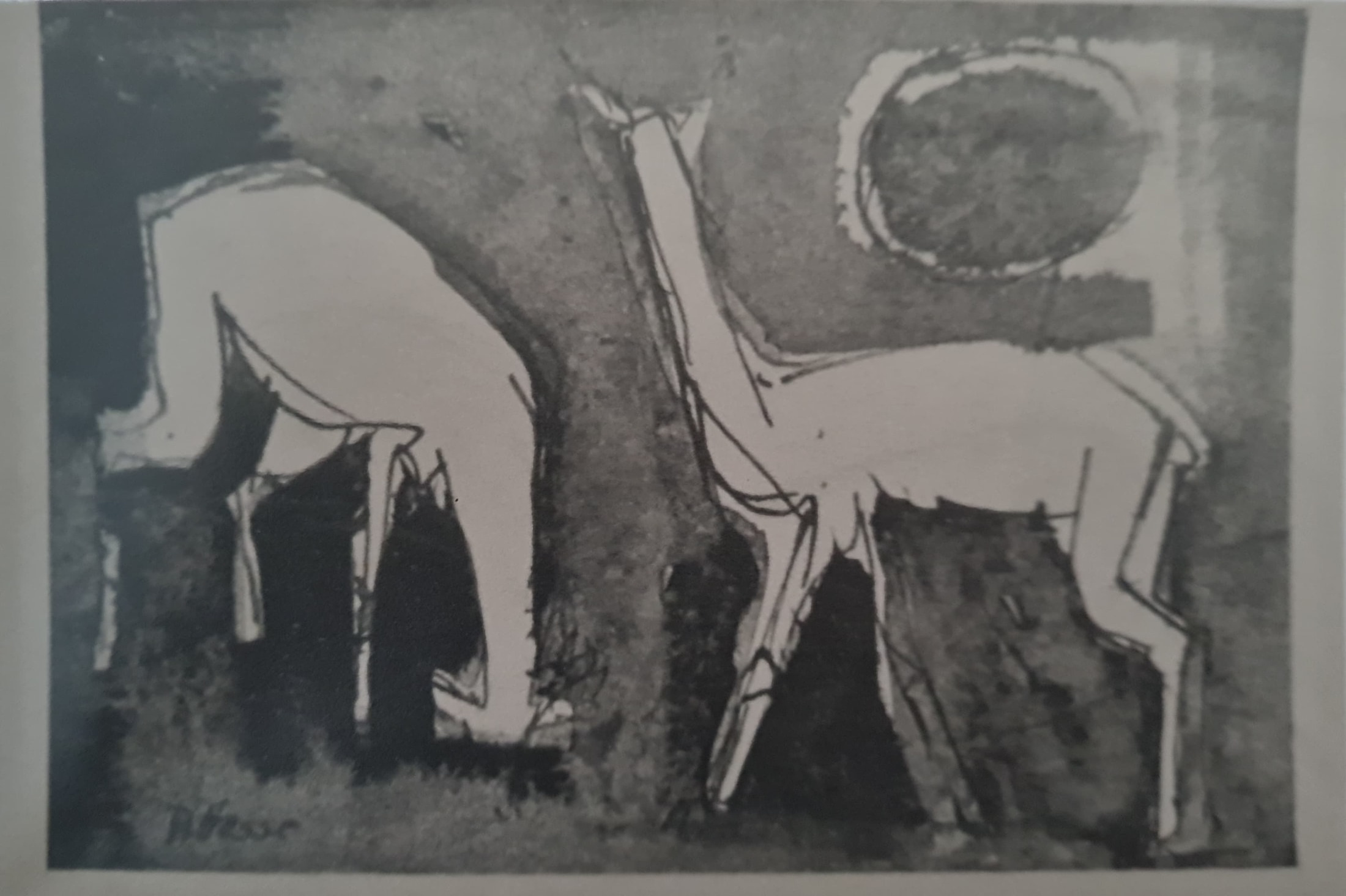 Zwei Rehe